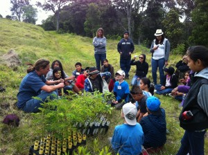 Sustainability can be achieved in Hawai'i by focusing on the environment, conservation, agriculture and education. Photo courtesy of Kamehameha Schools.
