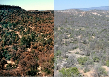 Comparison photo of same landscape