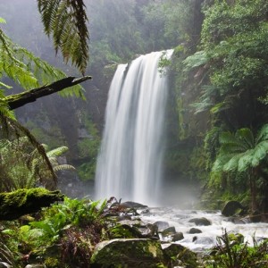 Waterfall in a lush tropical forest