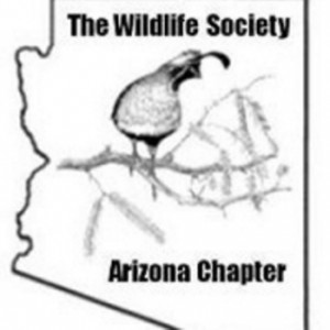 Logo of state of Arizona and a quail on a branch