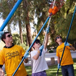 ASU students gather oranges from trees