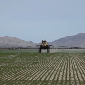Tractor on a desert farm