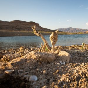 Receding water reveals the decay on the lake bed of Lake Mead