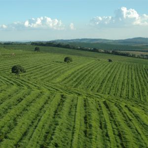 View of large agricultural fields with sky background