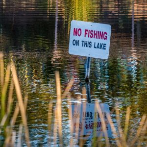 A "No Fishing" sign in an urban lake