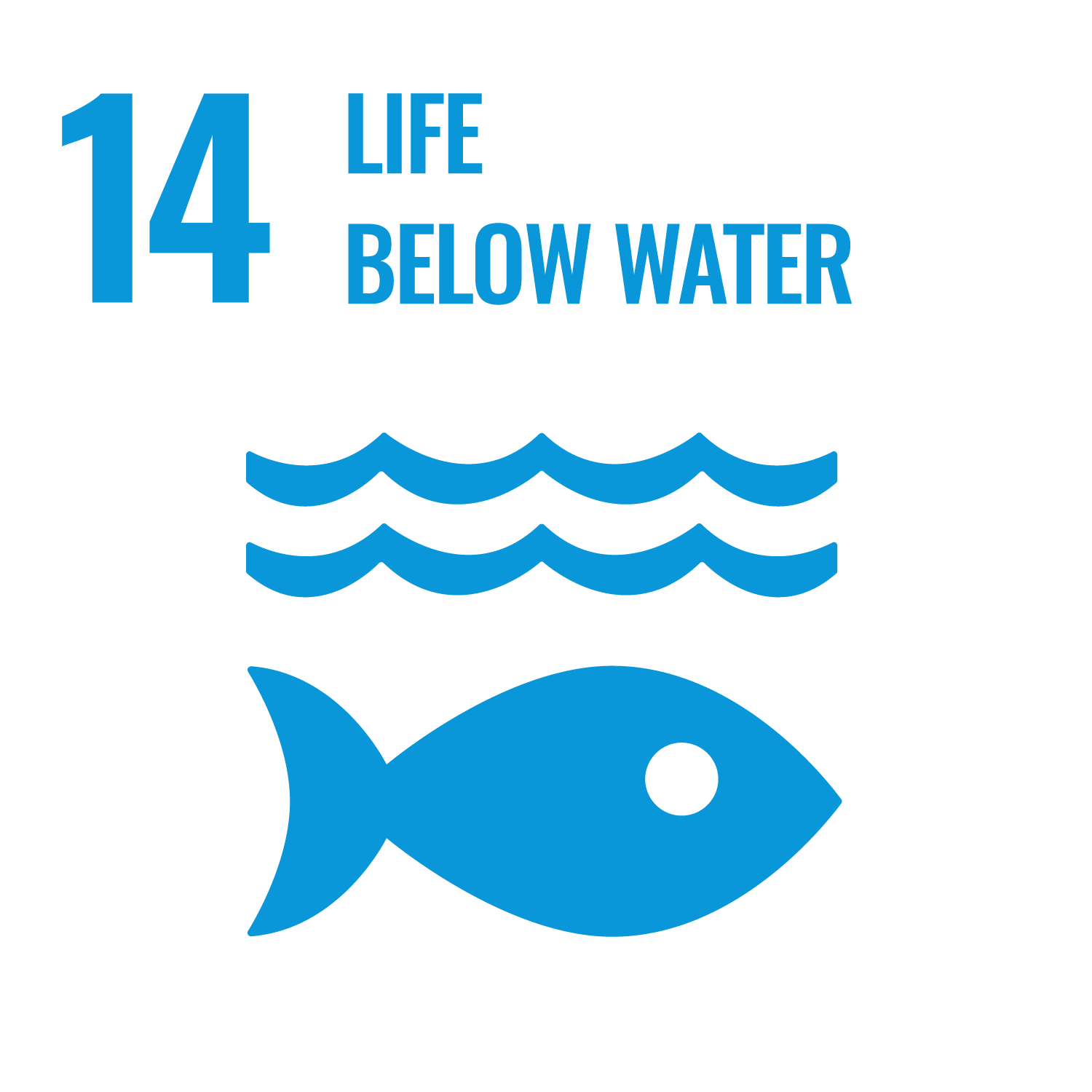 SDG14-life under water
