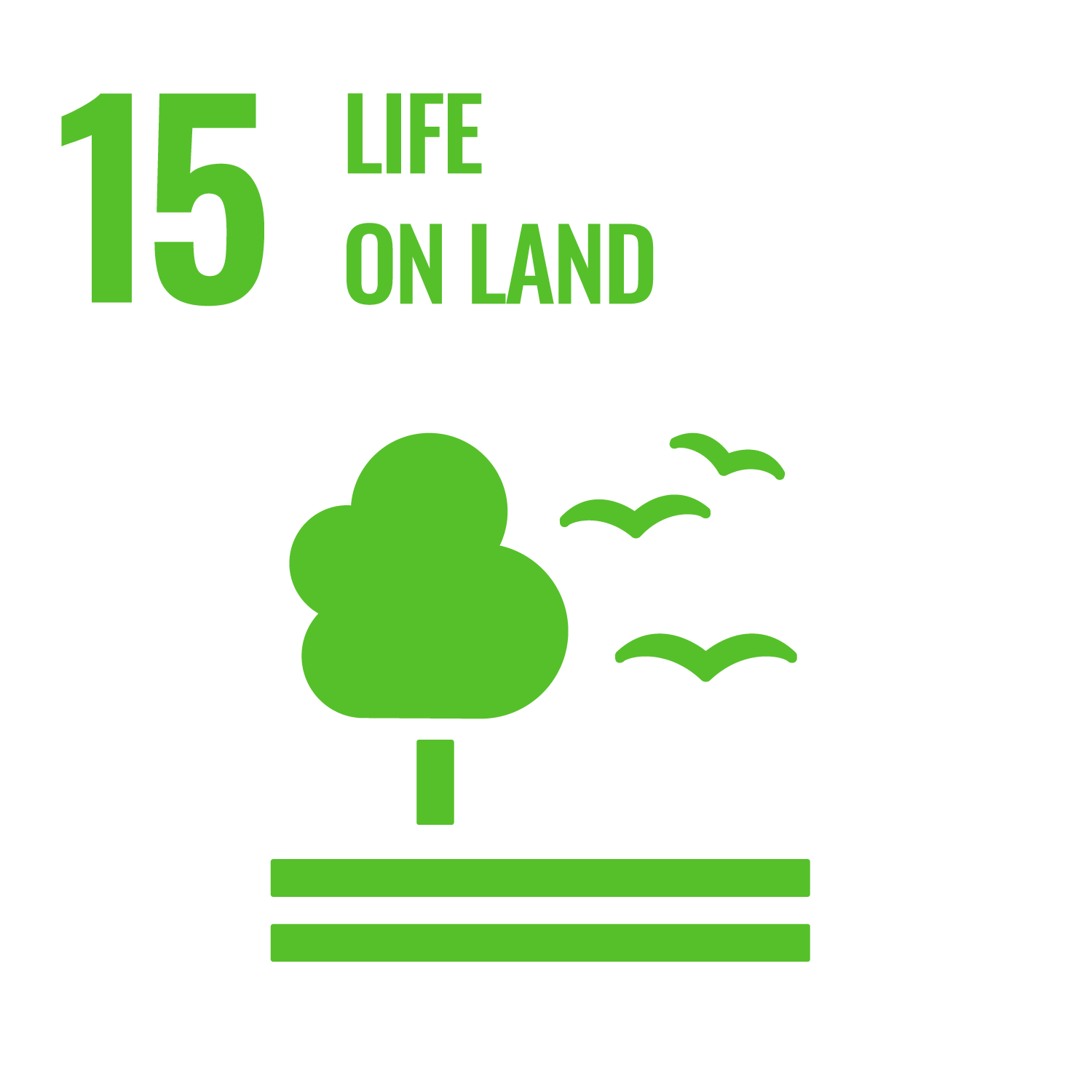 SDG15-life on land